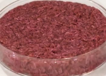 Lab Grown Meat