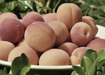 Peaches