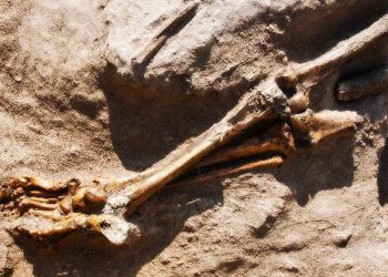 Tall el-Hamman Sodom and Gomorrah