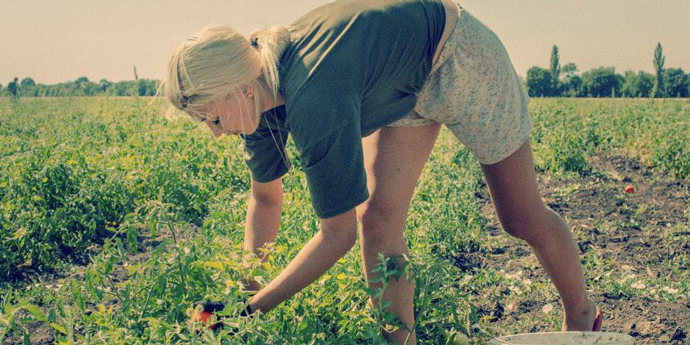 Ukrainian Farmer