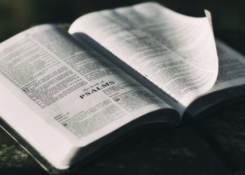 Bible