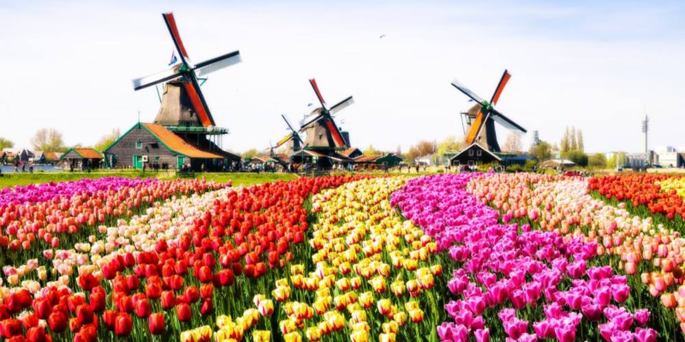 Netherlands