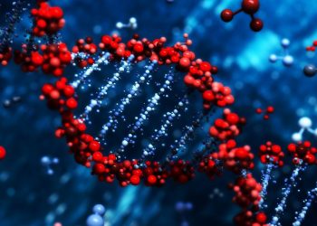 DNA