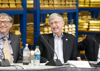 Gates Collins Fauci