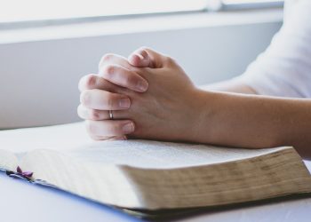 Genesis Gold Group (1)