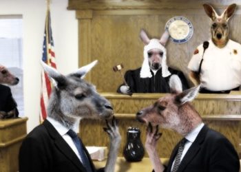 Kangaroo Court (1)