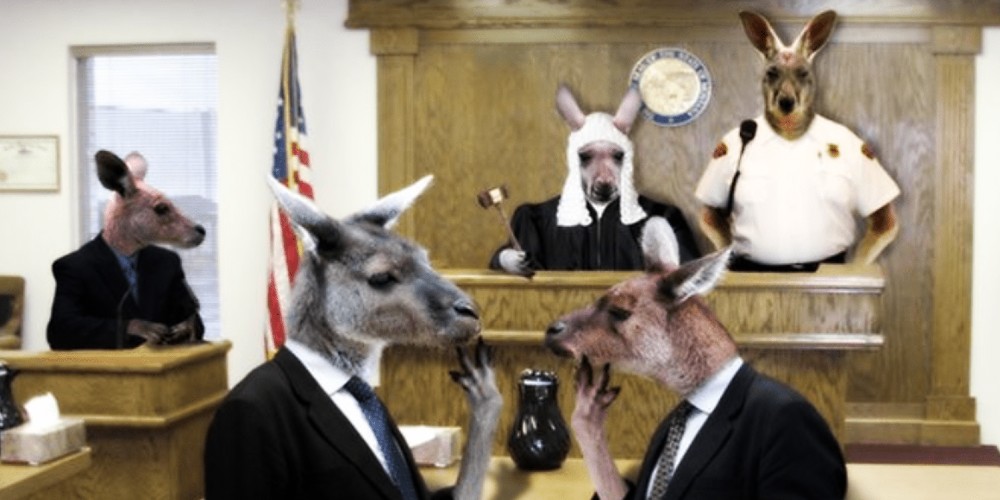 Kangaroo Court (1)