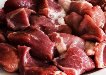 Meat Pandemic
