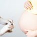 Pregnant Vaccines