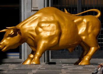 Bull