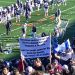 Harvard-Yale Sign