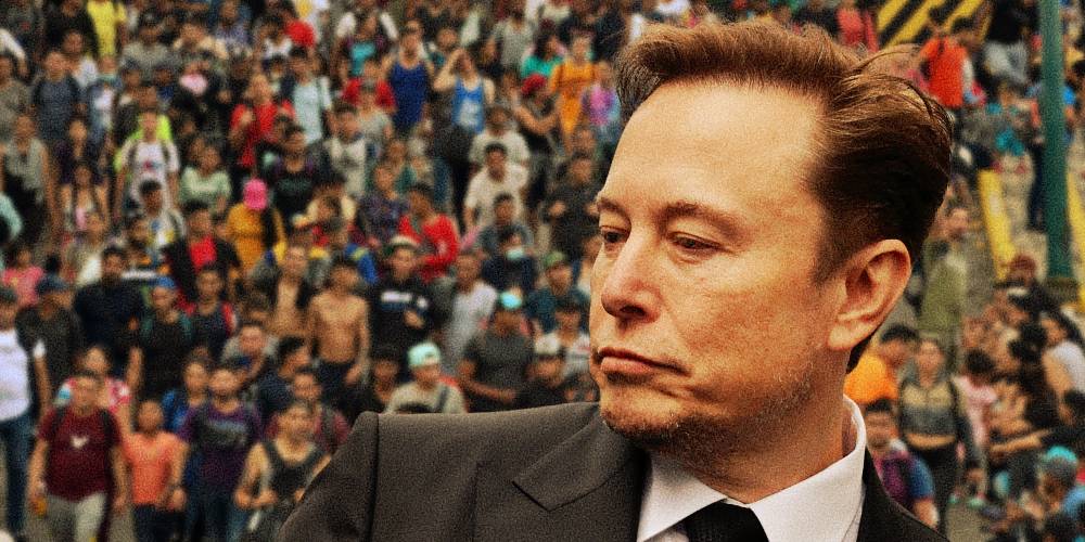 Elon Musk Great Replacement Theory