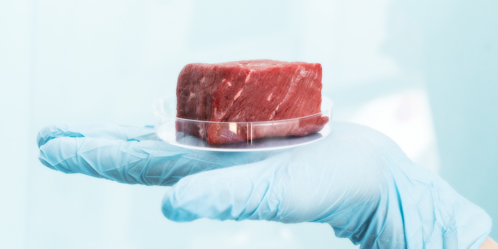 Lab-Grown Meat