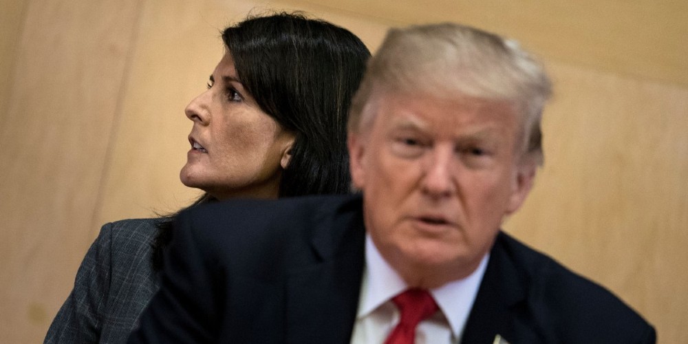 Trump Haley