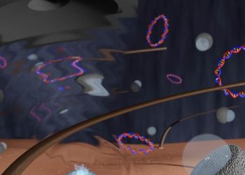Ultrasound Vaccines