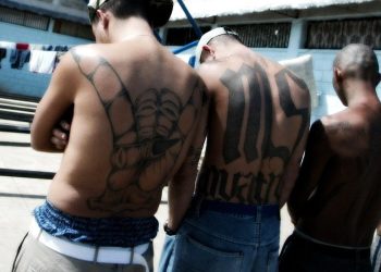 Illegal Aliens