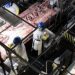 Pork-Factory