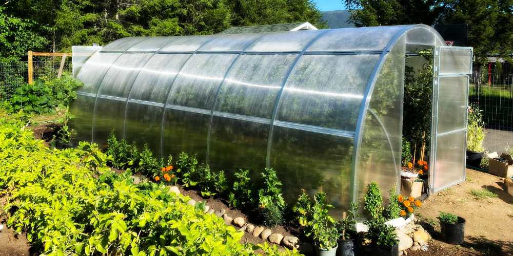 Prepper Garden