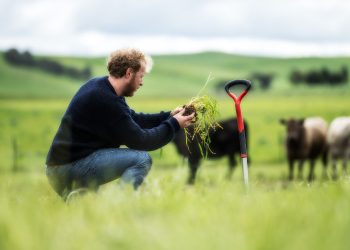 Regenerative Farming