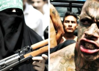 Illegal Alien Guns