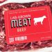 Lab-Grown-Meat-2