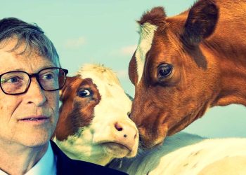 Bill Gates