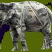 Elephant in the Room