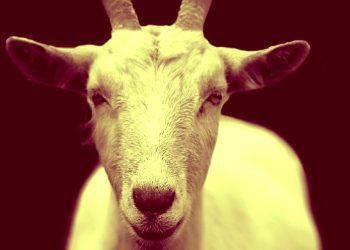 Scapegoat