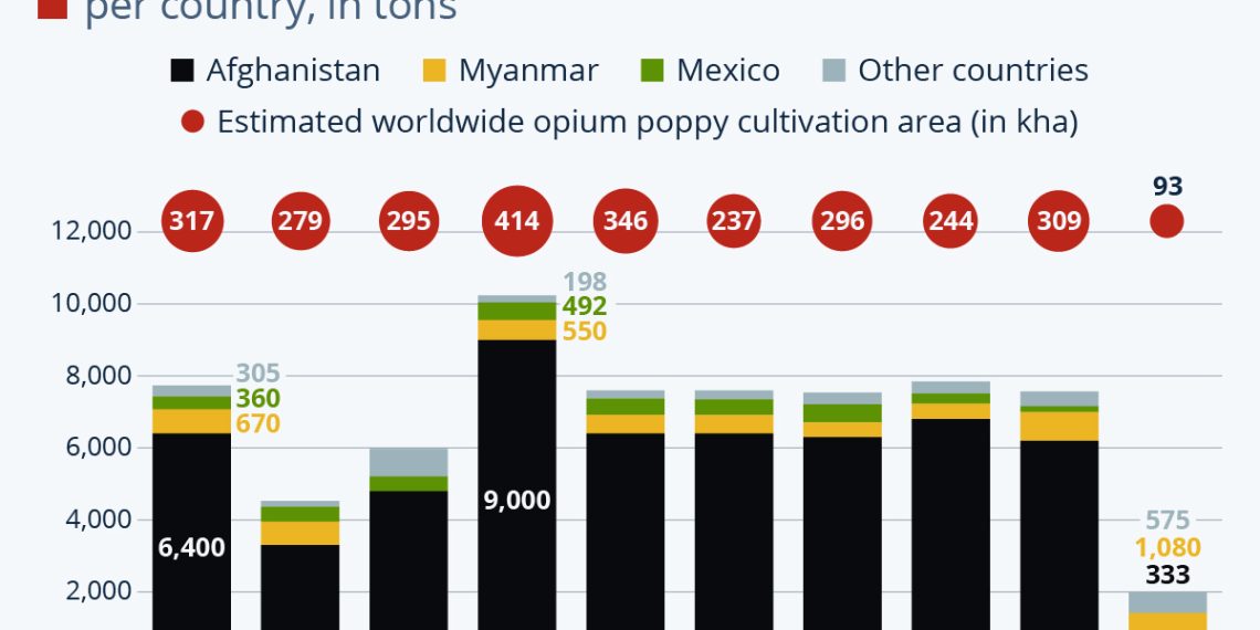 Taliban Power-Grab Over Opium Production Sparked Surge In Fentanyl Use