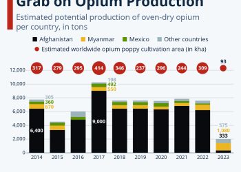 Taliban Power-Grab Over Opium Production Sparked Surge In Fentanyl Use