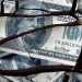 Economic Collapse