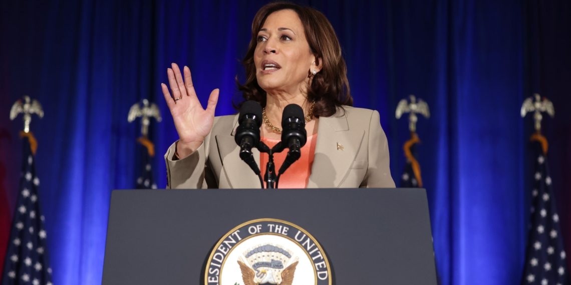 Gingrich Says Harris Is ‘Uneducated And Uneducable’ In Scathing Interview