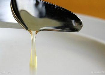 Rep. Anna Luna (R-Fla.) introduces bill to ban chemical dyes, high-fructose corn syrup in food