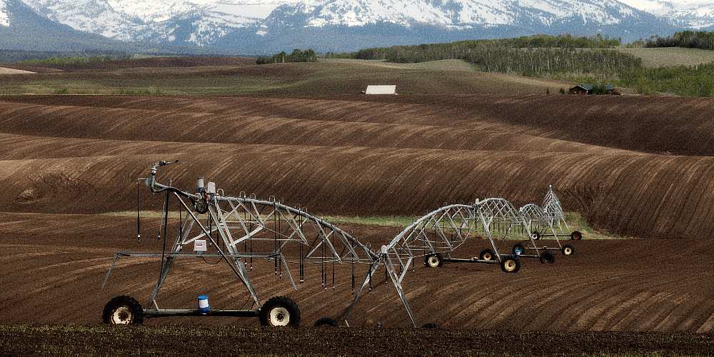 Idaho Farms