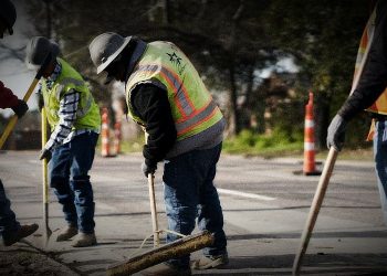 Illegal Alien Jobs