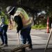Illegal Alien Jobs