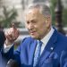 Chuck Schumer’s Brother Works For Law Firm Behind Bragg’s Get-Trump Indictment