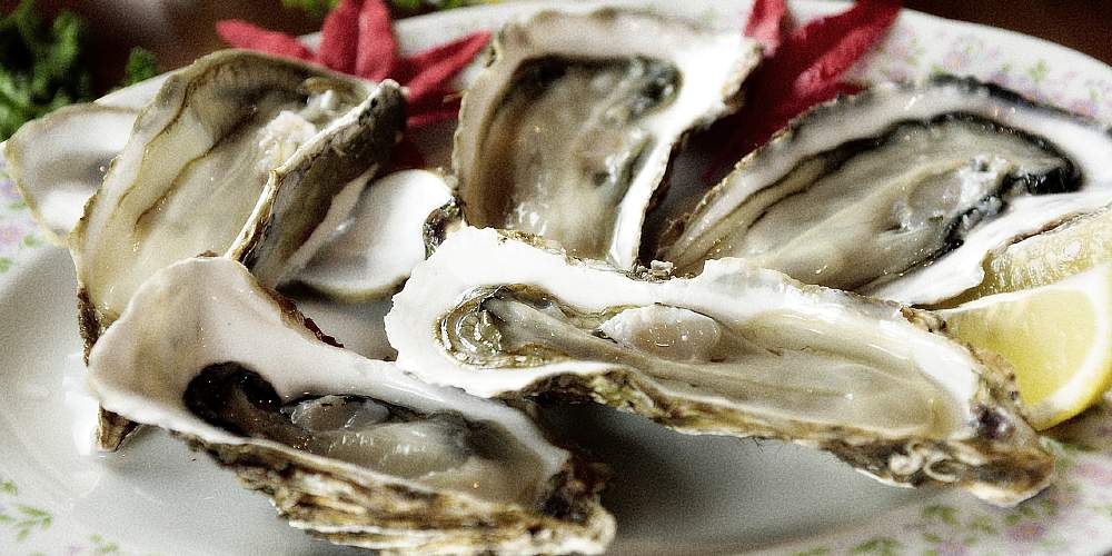 Oysters