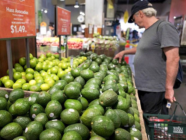 REPORTS: U.S. Halts Avocado Imports After Abduction of USDA Inspectors in Mexico