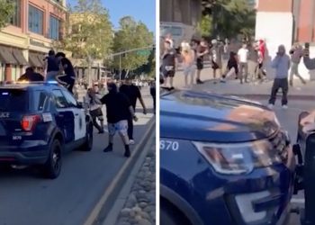 Mob attacks San Jose police car, prevents officer from treating victim injured by 'sideshow' driver: report