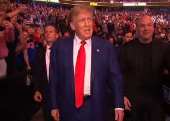 Trump campaign begins vetting potential VPs: report