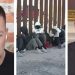 Biden admin has 'lost' 600,000 illegal immigrant children in the US: Former Deputy Border Patrol agent