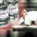 Covid Vaccine Excess Deaths