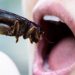 Eat Ze Bugs