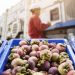 Organic Imports