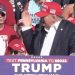 Trump Assassination Attempt