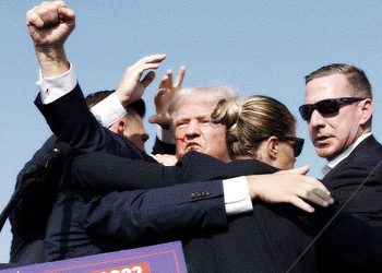Trump Fist