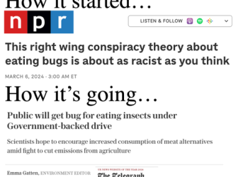 Bug Diets, Once Labeled 'Conspiracy Theory' By MSM, Now Becomes Fact After UK Gov't Backs 'Sustainable' Food