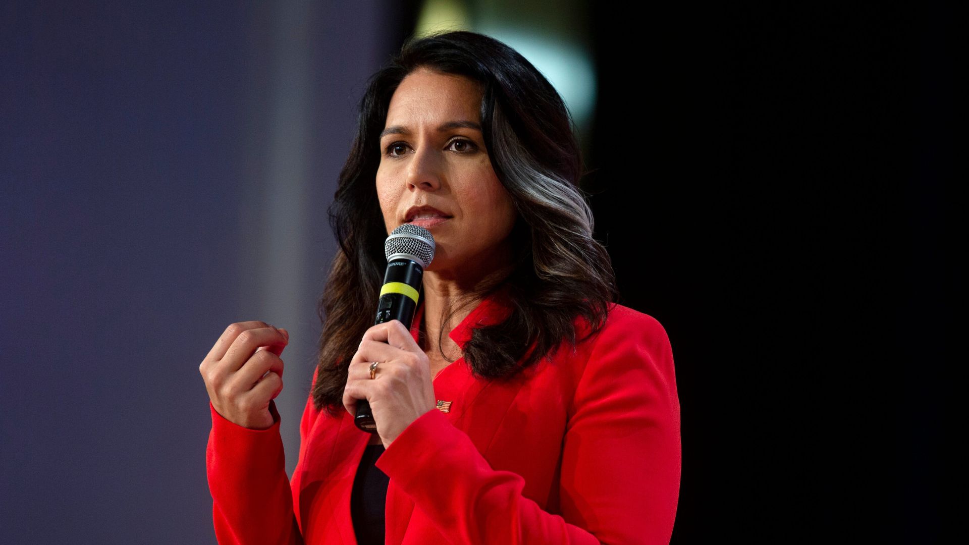 Tulsi Gabbard: Queen Kamala Descends From Her Tower To Talk To The Little People [VIDEO]