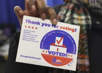 What Do Voters Really Care About?